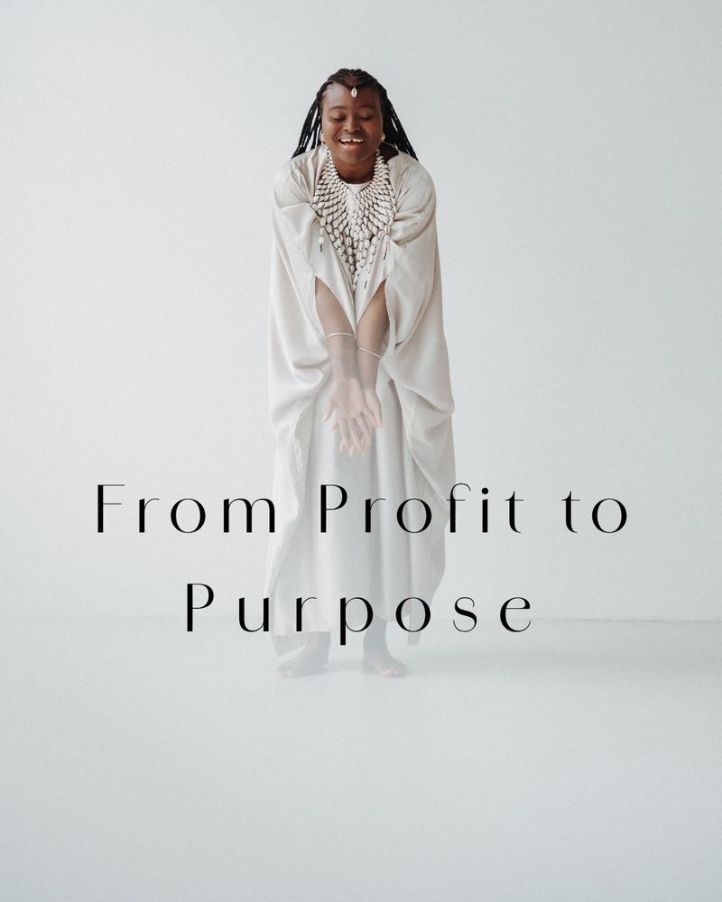 Charifatou Radji, Programm From Profit to Purpose